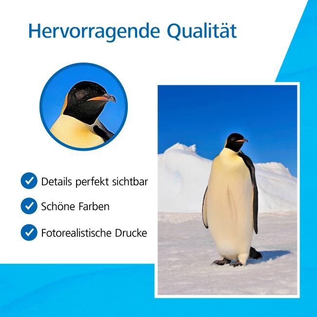 Brother LC223 Tintenpatronen - 4er-pack